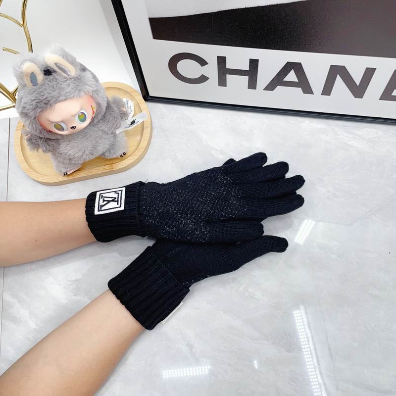 LV Gloves dx (90)