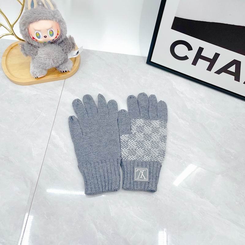 LV Gloves dx (95)