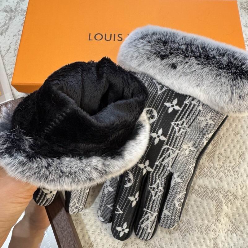 LV Gloves hm (105)