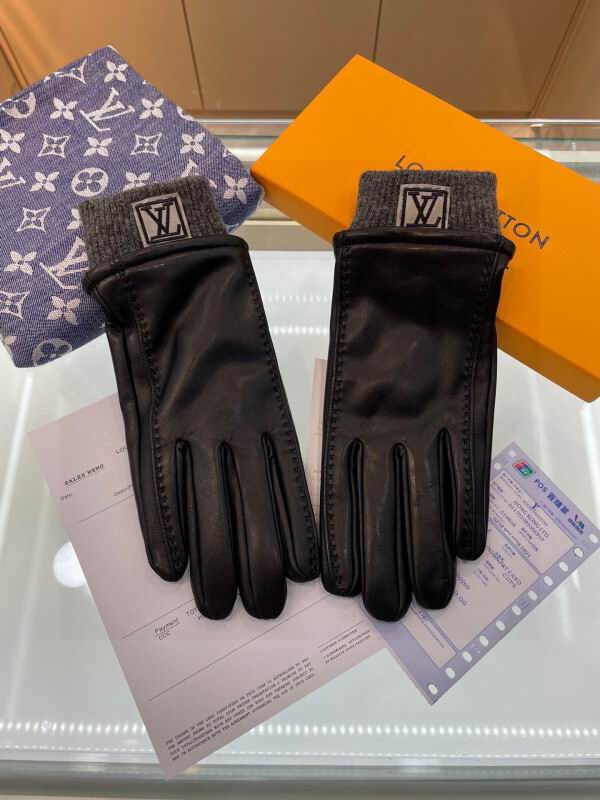 LV Man Gloves hm (74)