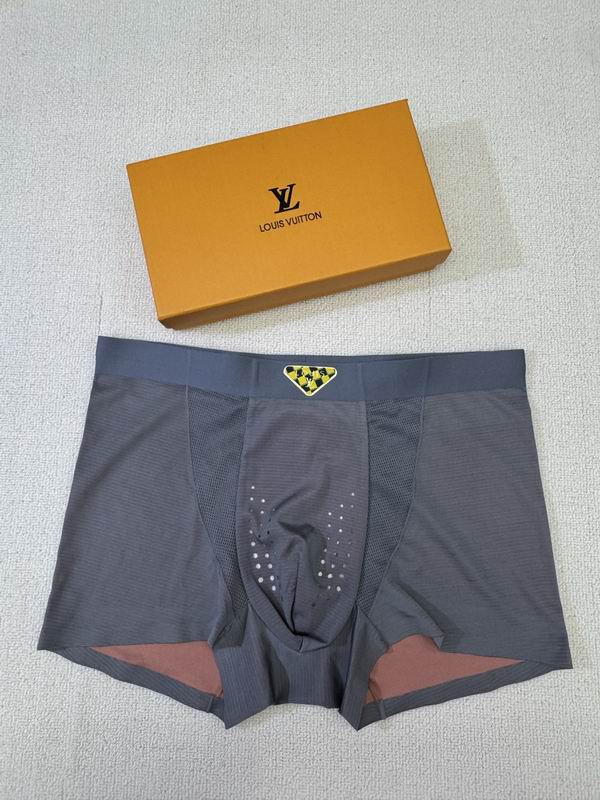LV boxer L-4XL 04 (2)