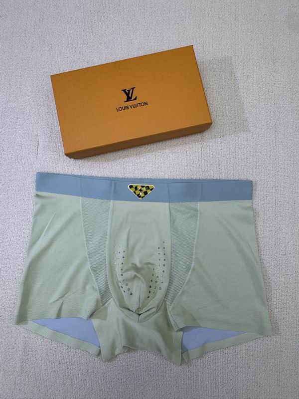 LV boxer L-4XL 04 (3)