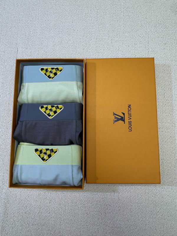 LV boxer L-4XL 04 (4)