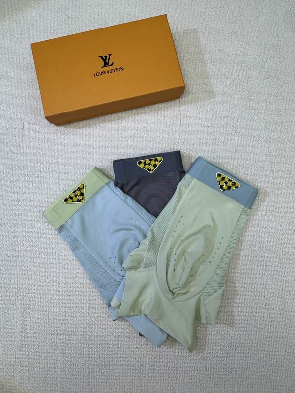 LV boxer L-4XL 04 (6)