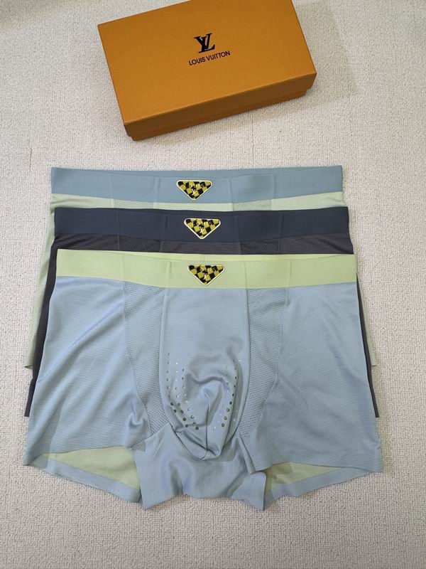 LV boxer L-4XL 04 (7)
