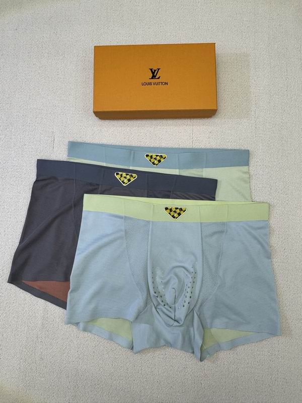 LV boxer L-4XL 04 (9)