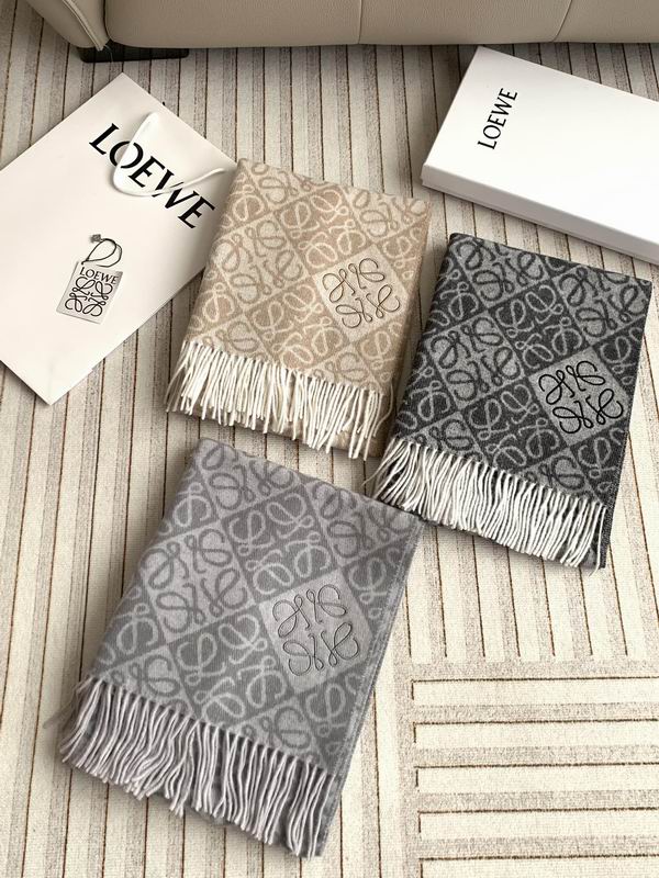 Loewe scarf  E31 (11)
