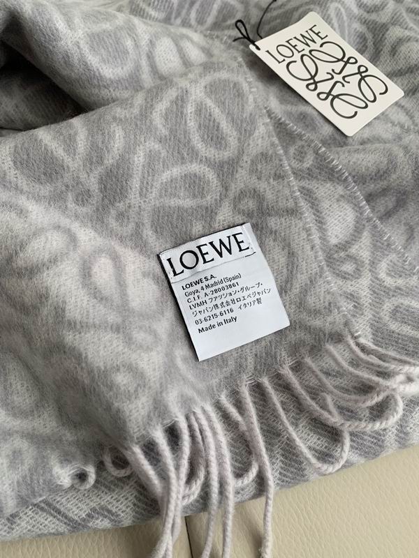 Loewe scarf  E31 (14)