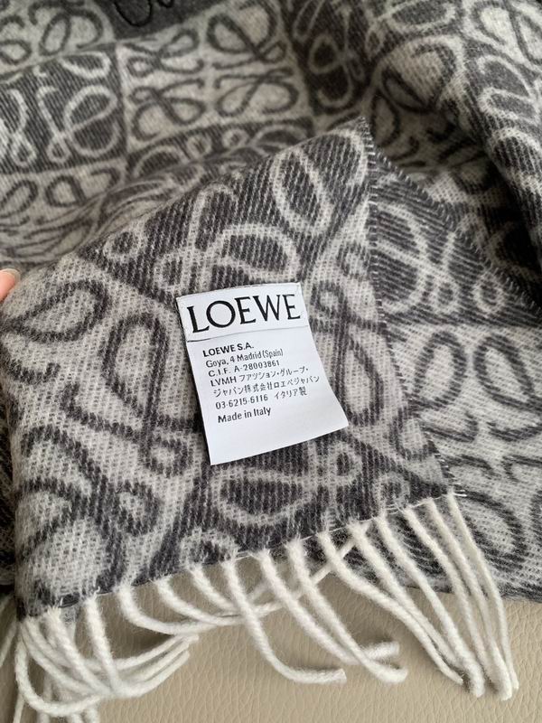 Loewe scarf  E31 (2)