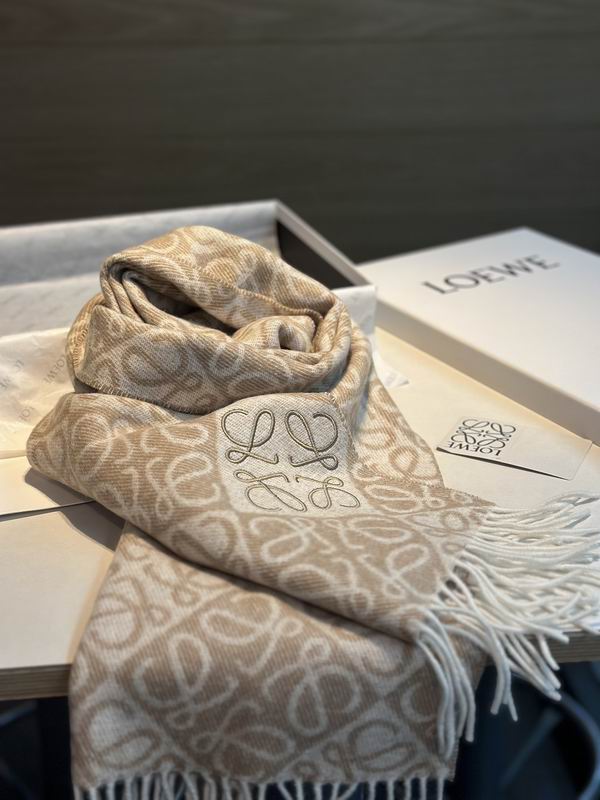 Loewe scarf  E31 (21)