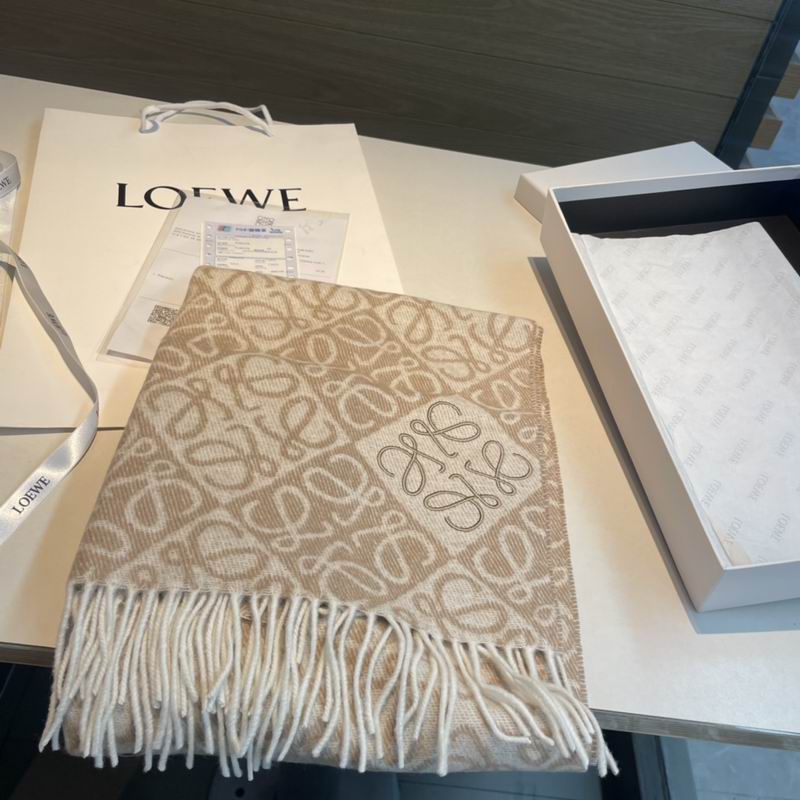 Loewe scarf  E31 (25)