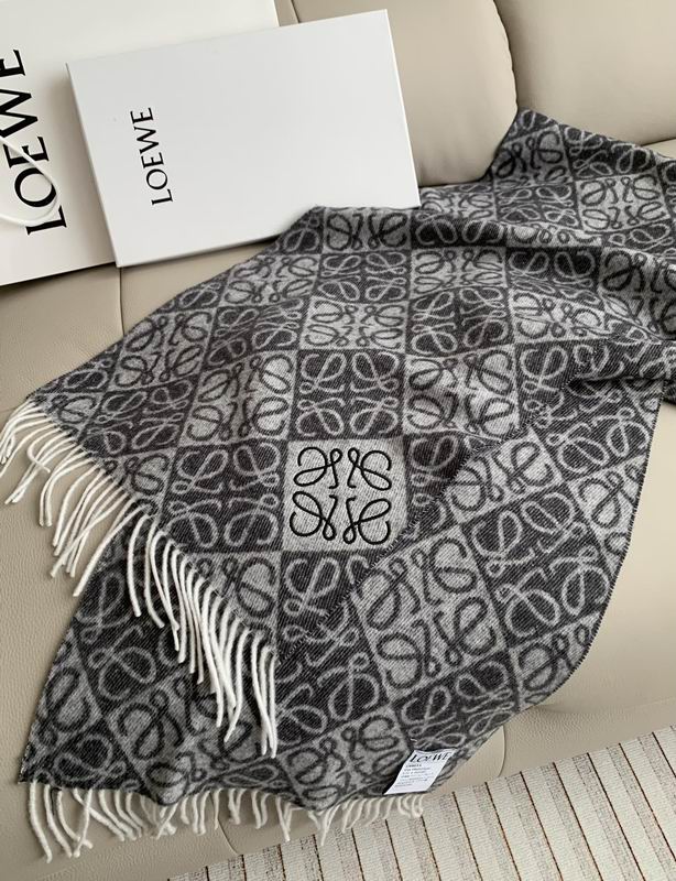 Loewe scarf  E31 (6)
