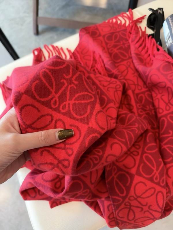 Loewe scarf 180X65cm E09 (20)
