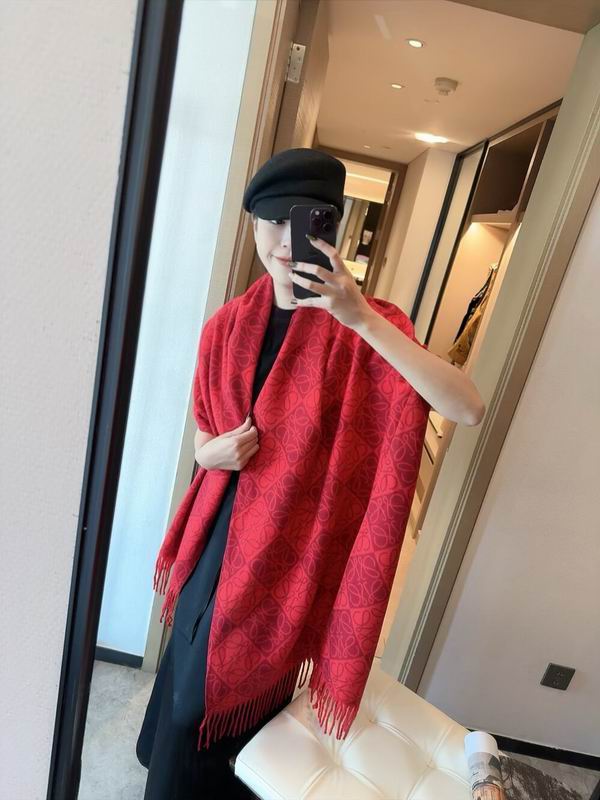 Loewe scarf 180X65cm E09 (21)