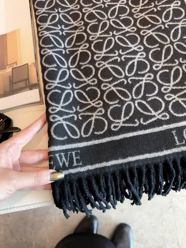Loewe scarf 60X180cm E32 (13)