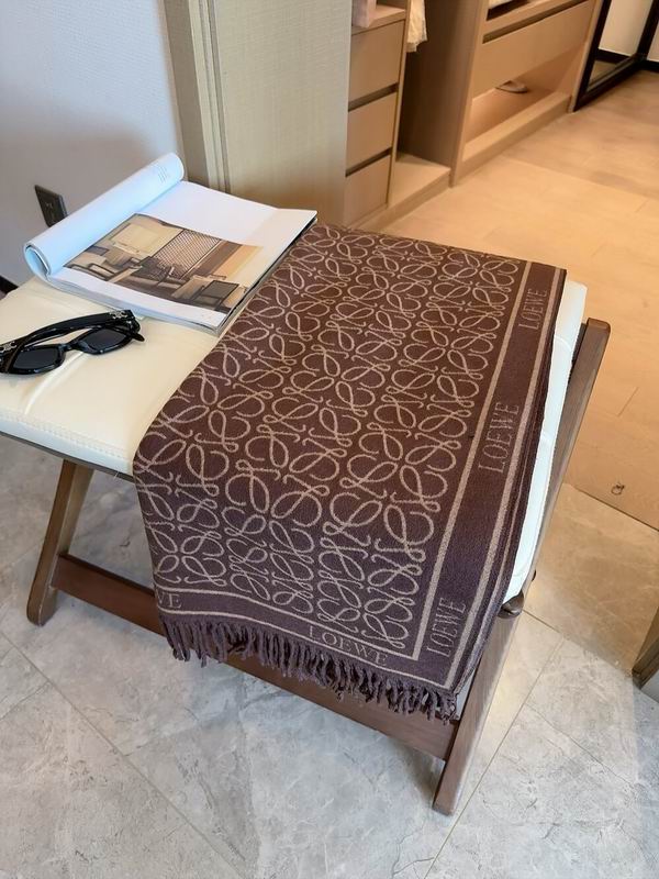 Loewe scarf 60X180cm E32 (16)