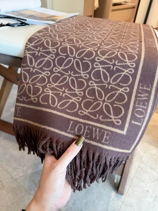 Loewe scarf 60X180cm E32 (17)