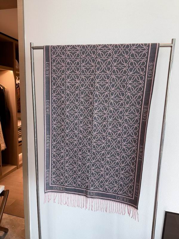 Loewe scarf 60X180cm E32 (21)