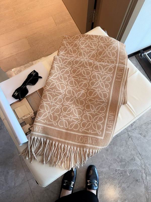 Loewe scarf 60X180cm E32 (26)