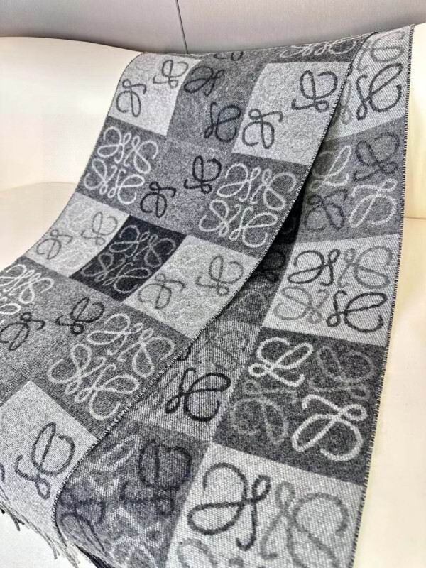 Loewe scarf hm (169)