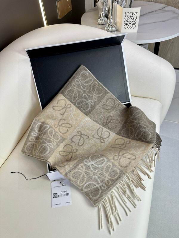 Loewe scarf hm (173)