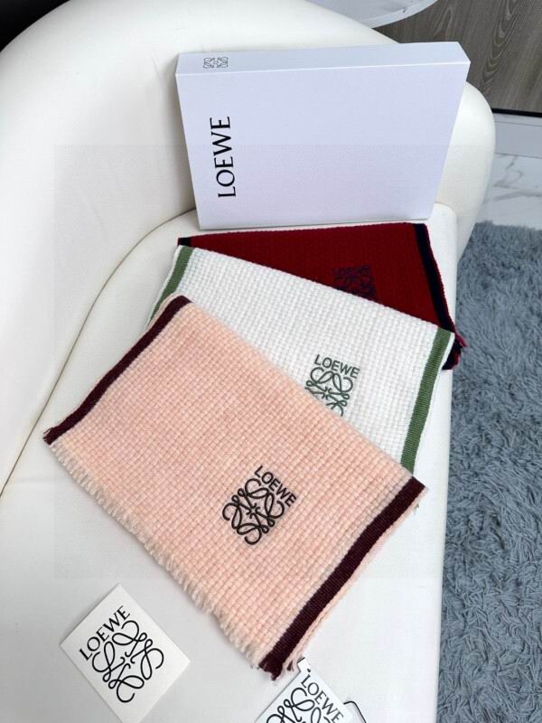 Loewe scarf hm (179)