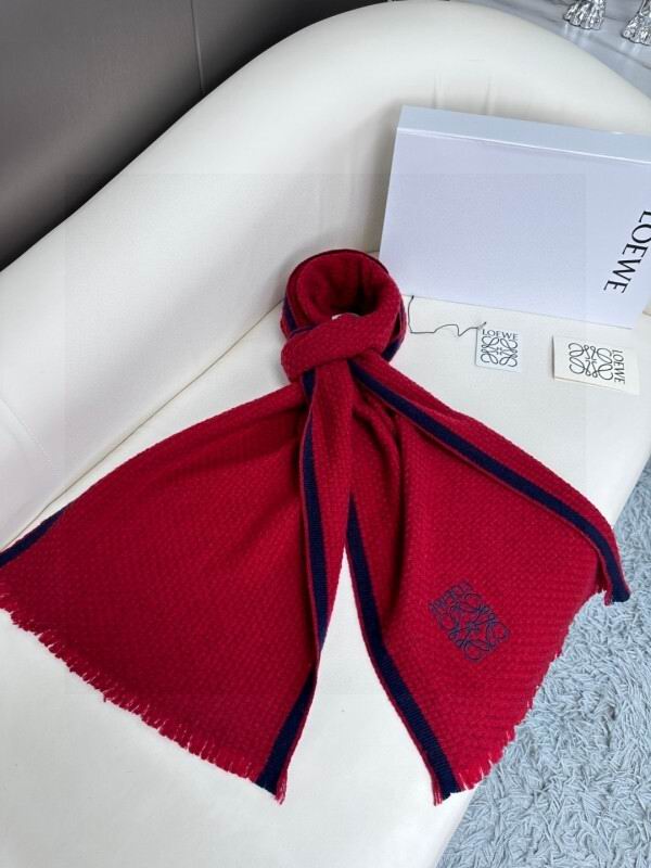 Loewe scarf hm (181)