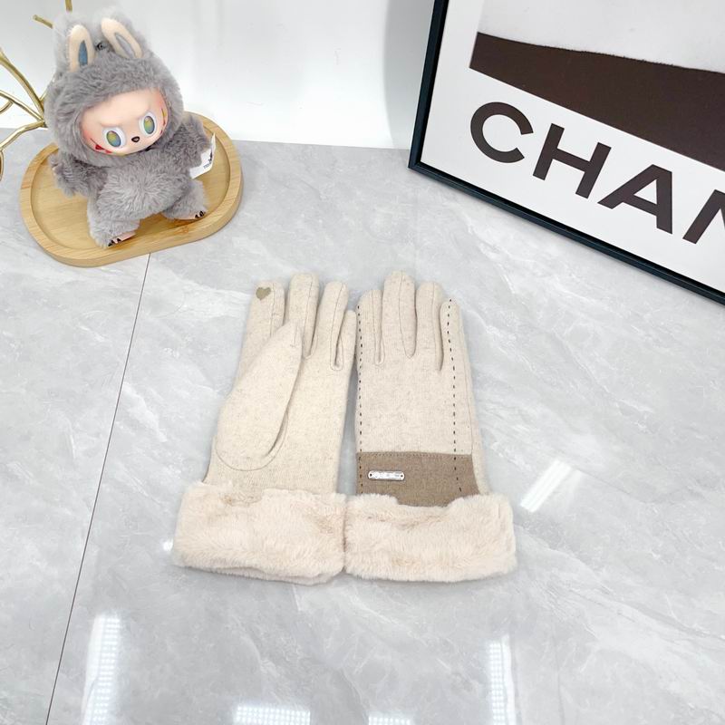 Loro Piana Gloves dx (31)