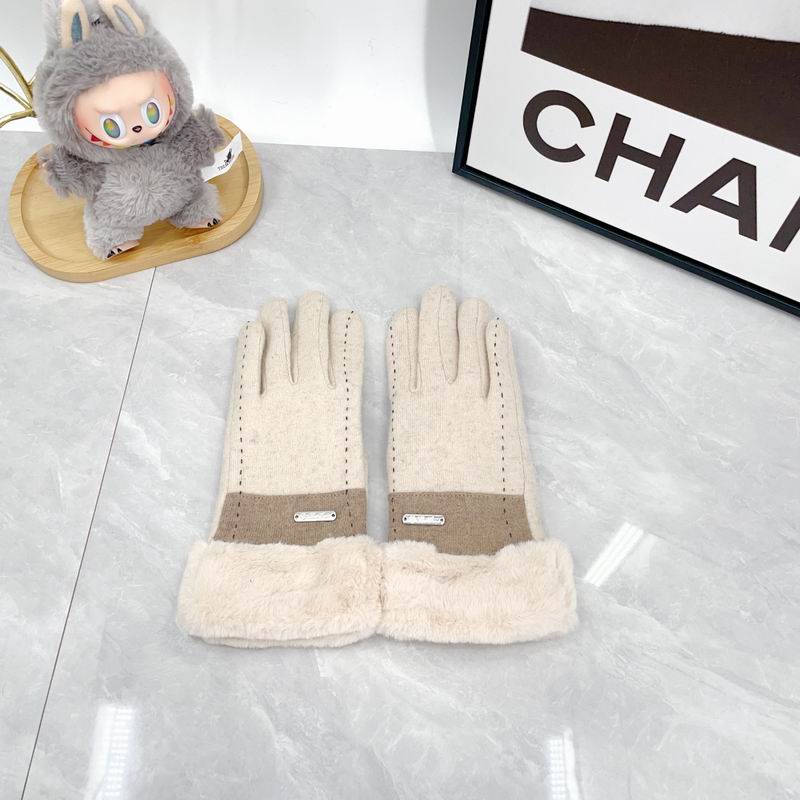 Loro Piana Gloves dx (33)