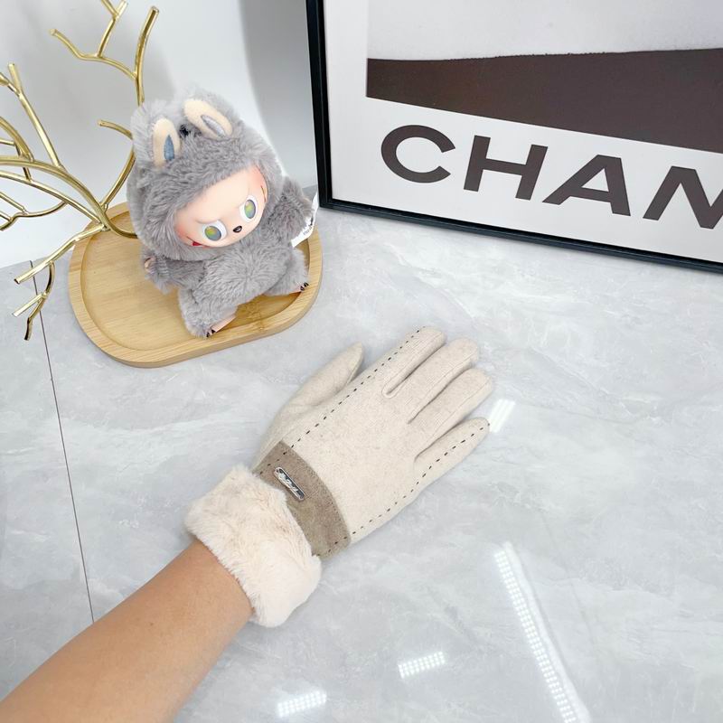 Loro Piana Gloves dx (34)