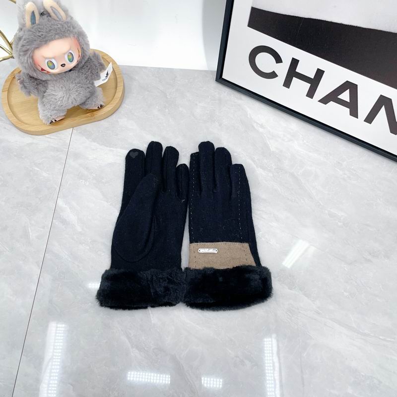 Loro Piana Gloves dx (40)