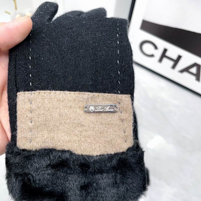 Loro Piana Gloves dx (41)