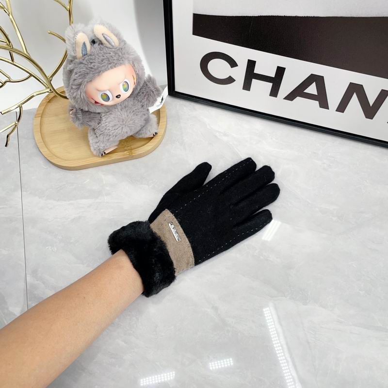 Loro Piana Gloves dx (43)