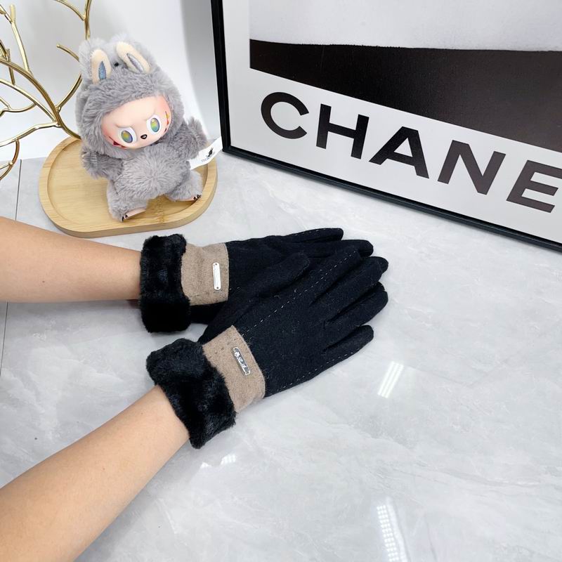 Loro Piana Gloves dx (46)