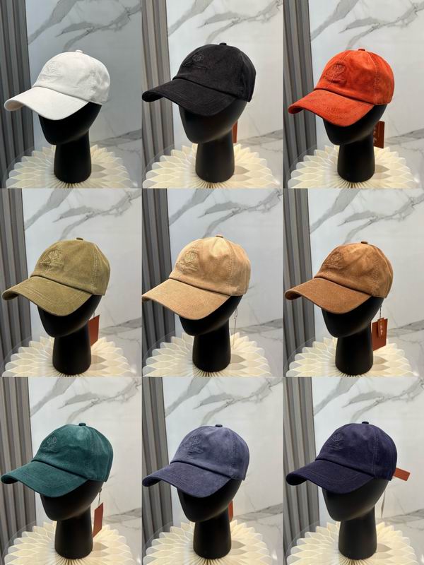 Loro Piana cap dx (408)