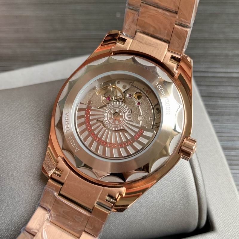 Omega 41mm 18-Aqua Terra (2)