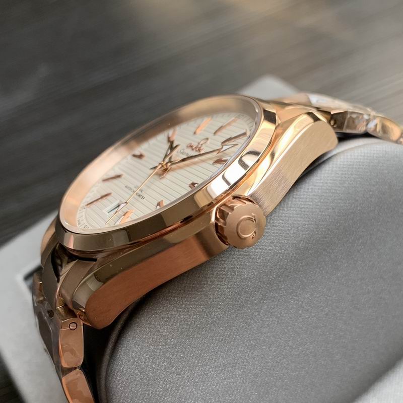 Omega 41mm 18-Aqua Terra (3)