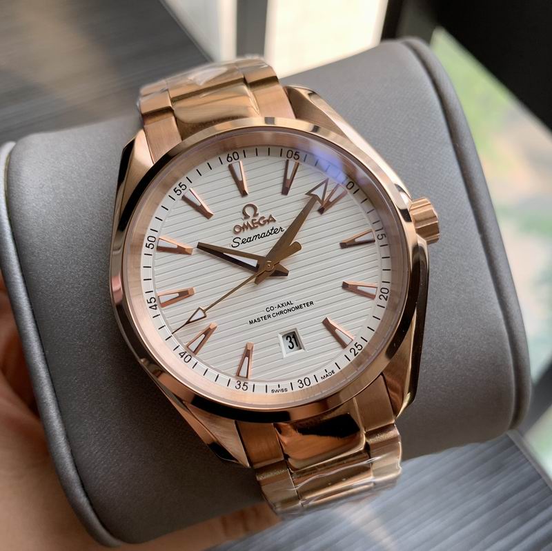 Omega 41mm 18-Aqua Terra (5)