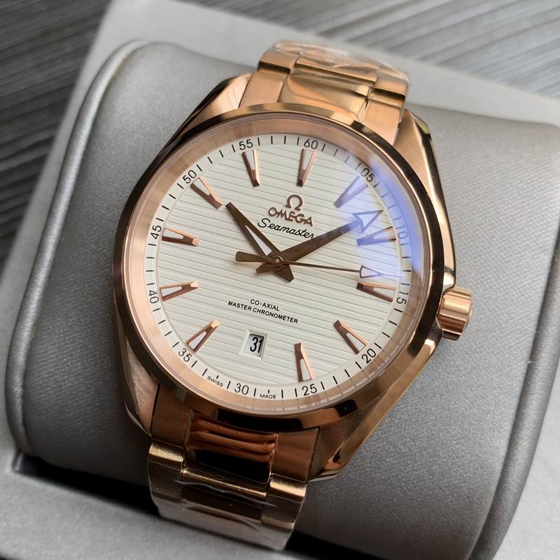 Omega 41mm 18-Aqua Terra (6)