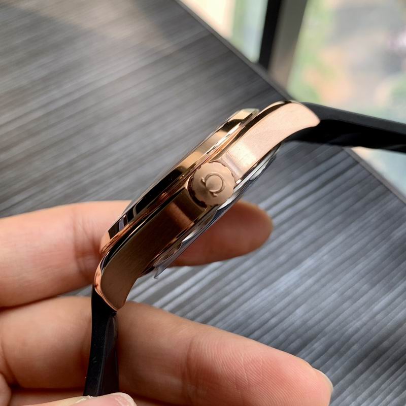 Omega 41mm 19-Aqua Terra (3)