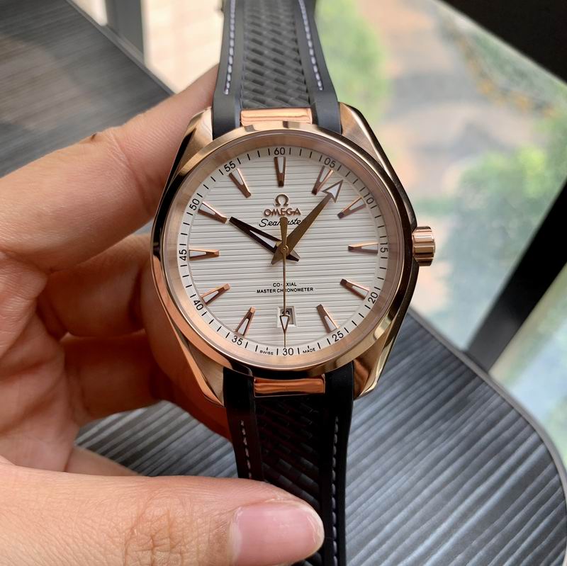 Omega 41mm 19-Aqua Terra (9)