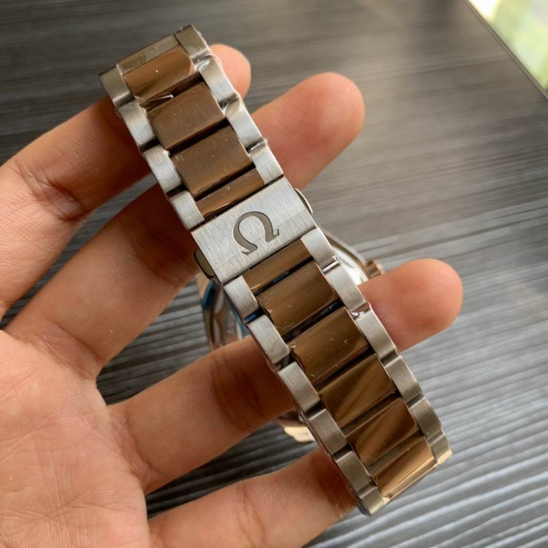 Omega 41mm 20-Aqua Terra (1)