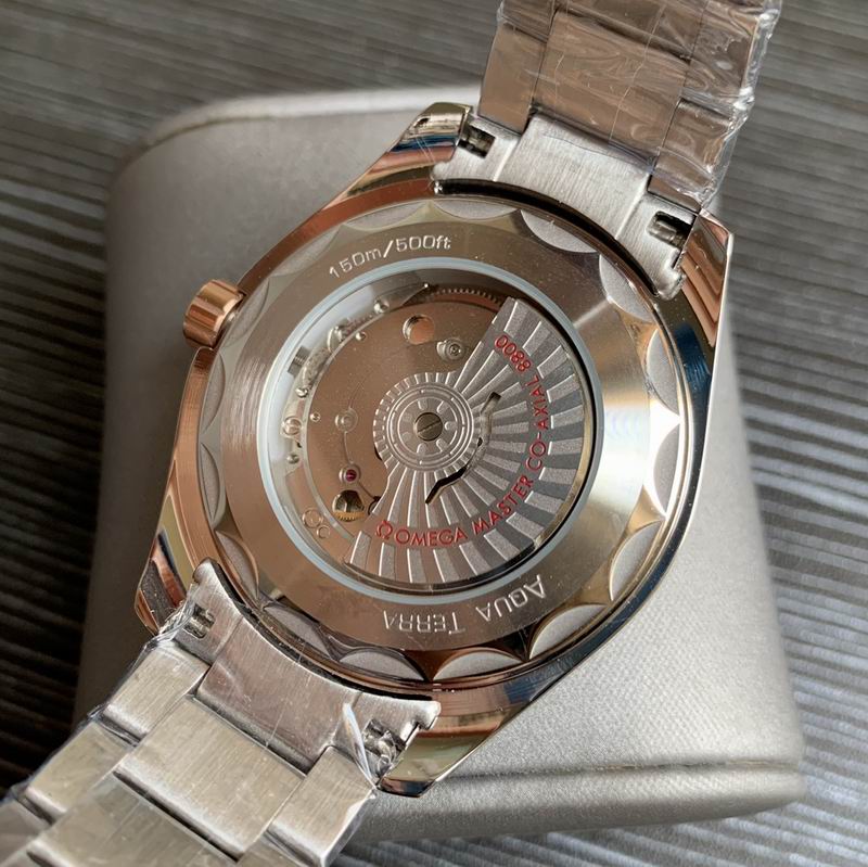 Omega 41mm 20-Aqua Terra (2)