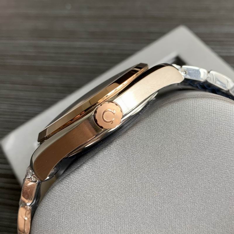 Omega 41mm 20-Aqua Terra (3)