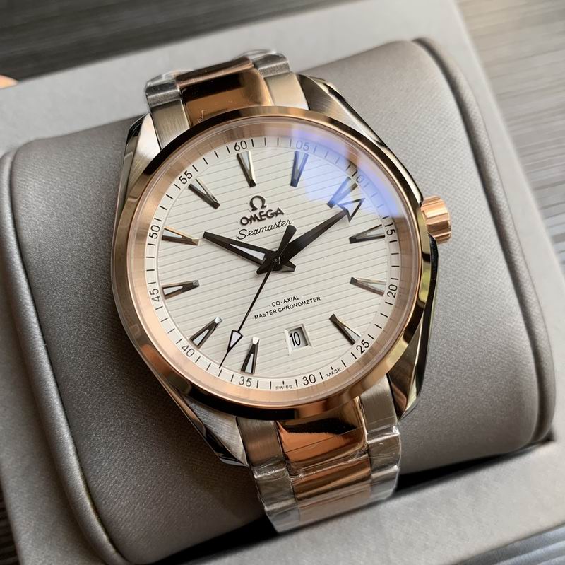 Omega 41mm 20-Aqua Terra (4)