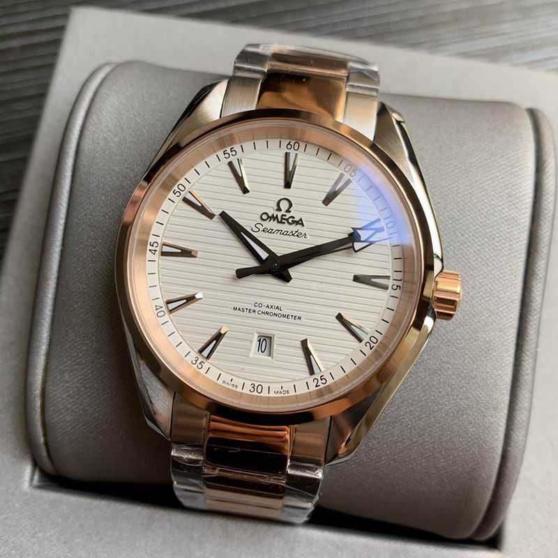 Omega 41mm 20-Aqua Terra (5)