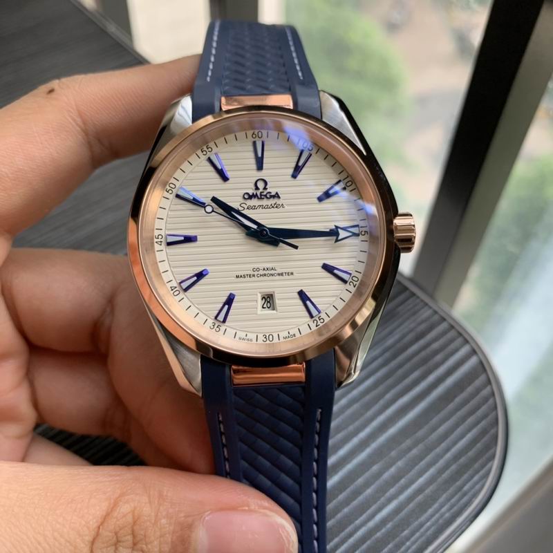 Omega 41mm 21-Aqua Terra (5)