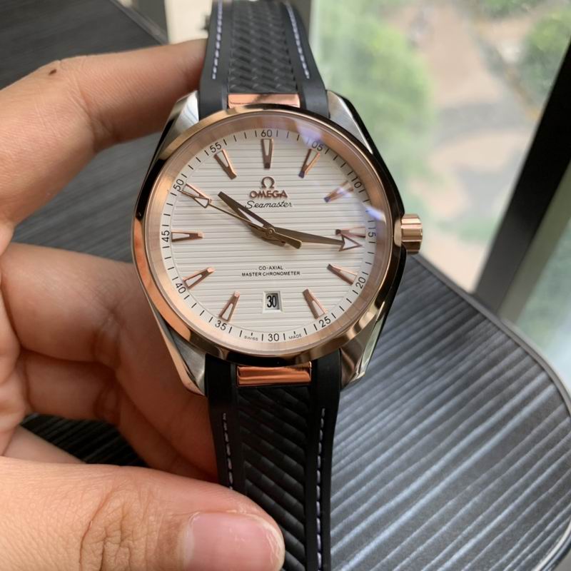 Omega 41mm 21-Aqua Terra (6)