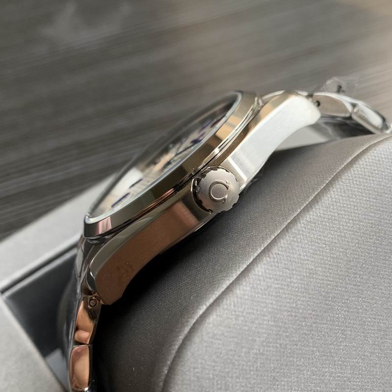 Omega 41mm 22-Aqua Terra (2)