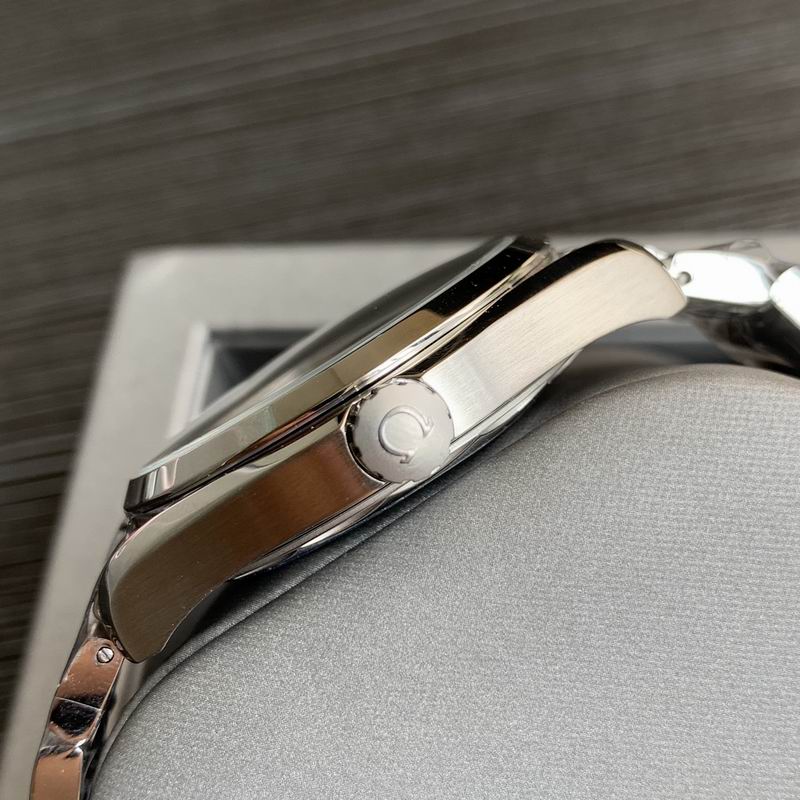 Omega 41mm 23-Aqua Terra (3)